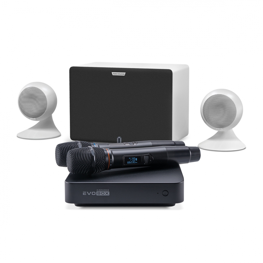 караоке-комплект EVOBOX Classic + EvoSound Sphere 2.1 в Усть-Куте
