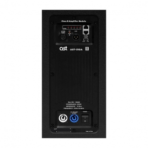 Активная акустическая система AST-310A в Усть-Куте