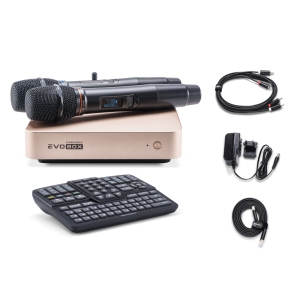 EVOBOX Classic караоке-система для дома в Усть-Куте