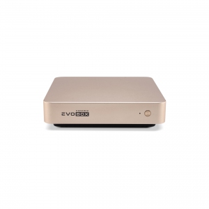 EVOBOX с микрофонами в Усть-Куте
